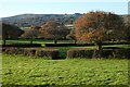 Pasture, Gwennap