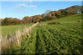 Pasture, Gwennap