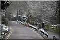 Long view down Ferry Lane, Shepperton