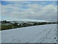 Snowy field above Sandyford Clough