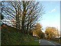 Signpost at junction for Liddaton in winter sunlight