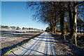 Farm road from Balnaguie