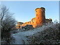 NS6859 : Bothwell Castle in winter by Alan O'Dowd