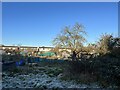 Coton Fields Allotments