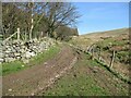 The Cumbria Way, Longlands