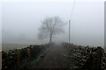 Track to Ridge Farm on a Foggy Morning