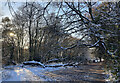 Snowy Streatham Common (10)