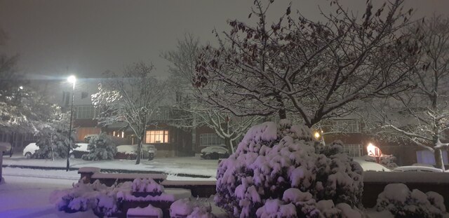 First Snow in Oakwood, December 2022
