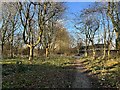 Path north of Lammascote Road