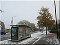 SZ1094 : Autumn leaves and winter snow in Charminster, Bournemouth by Malc McDonald