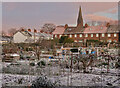 Frosted allotments, North Ferriby