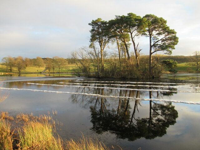 Patterns and reflections in loch, Douglas Estate