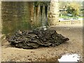 SE4048 : Driftwood at Wetherby Bridge by Alan Murray-Rust