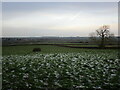 View over the Wreake Valley  near Rotherby