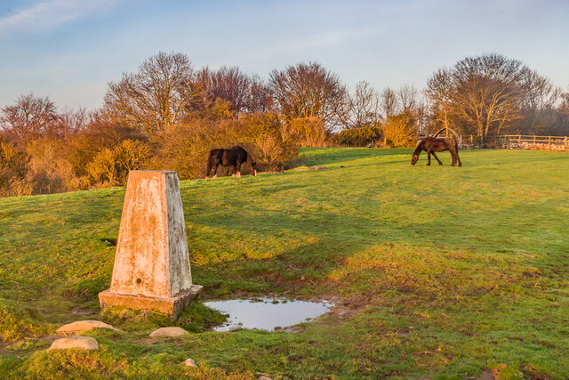 trig-point-ian-capper-cc-by-sa-2-0-geograph-britain-and-ireland