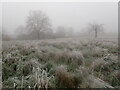 Fog and frost on East Wickham Open Space