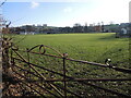 Old wrought iron gate at the Recreation Ground