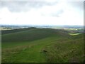 SU0864 : A walk from Allington to the Wansdyke and back [25] by Michael Dibb