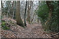 Footpath, Tilburstowhill Common