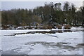 Grue on the River Tweed at Sands Shiel