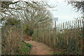 Path into Coast View