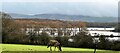 View SE across flooded land by the River Adur