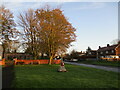 War  Memorial  and  St  Cuthbert