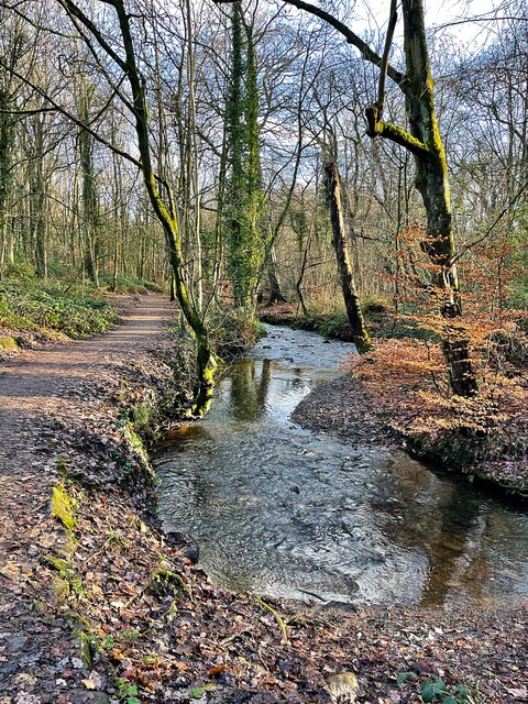 The Porter Brook in Whiteley Woods