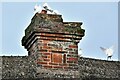 St. Mary Bourne, The Square: Doves on the roof of Summerhaugh Cottage