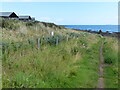 NO5100 : Fife Coastal Path at Ardross by Mat Fascione