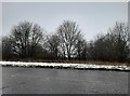 Icknield Way on Dunstable Downs