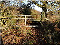 Footpath after leading to St Andrew