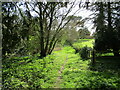 Private path alongside the churchyard, Little Dalby