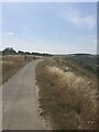 On part of the Ickenield Way in the Chiltern Hills