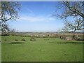 Grassland, Little Dalby