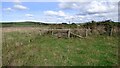 Stone Stile at Y Ferwig