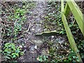 Stone Stile, Lower Morton