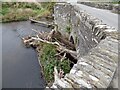 SN2143 : Llechryd Bridge Log Jam by Sandy Gerrard