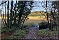 Bridleway towards Deansford Lane