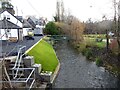 Bechan Brook, looking down stream, Bettws Cedewain