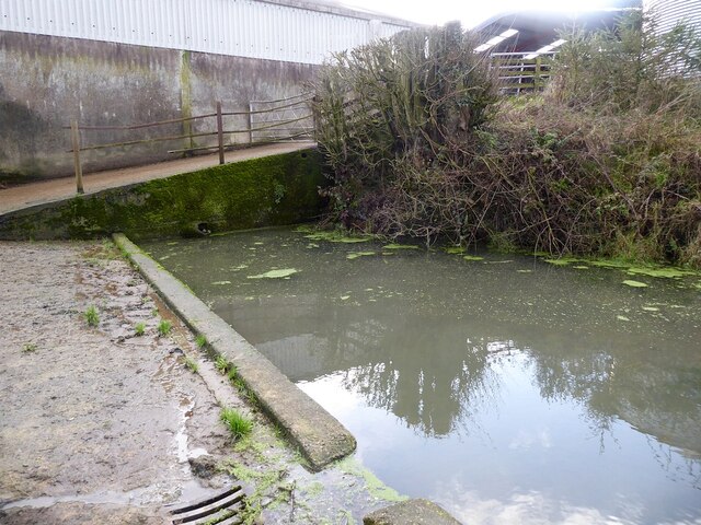 Pond at Rhos-fawr