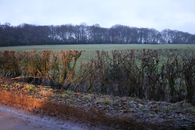 Field by Kiln Road, Hastoe © David Howard cc-by-sa/2.0 :: Geograph ...