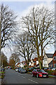 Pinfold Lane in Penn, Wolverhampton