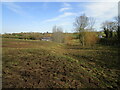 Muddy field, Great Dalby