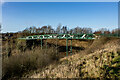 Footbridge, Chatterley Whitfield Park