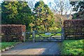 Moretonhampstead : Cherry Tree Longhouse