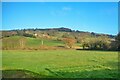 Moretonhampstead : Grassy Field