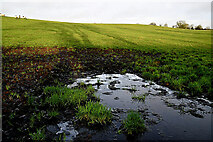 H5572 : A muddy field, Bracky by Kenneth  Allen