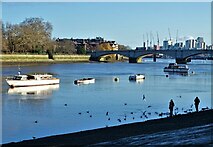 TQ2375 : By The Thames west of Putney Bridge by Neil Theasby