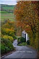 Littleham : Country Road